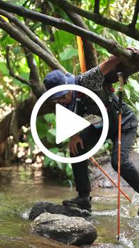 BIB:  <button type="button" onclick="openModal(27809172)" class="btn btn-primary btn-sm float-right" data-toggle="modal" data-target=".modal-high-quality">
                <i class="fa fa-download"></i> Download
                </button>